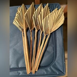 Decorative Dried Palm Spear Leaves Boho
